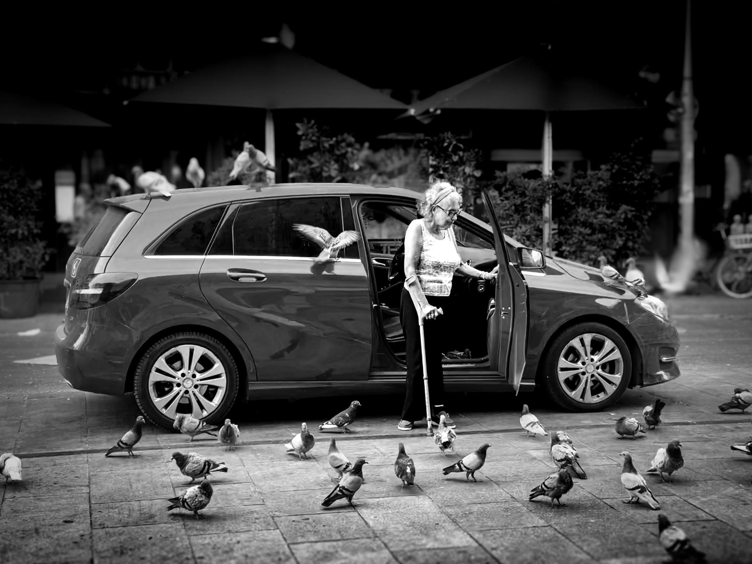 Pigeons swarming lady