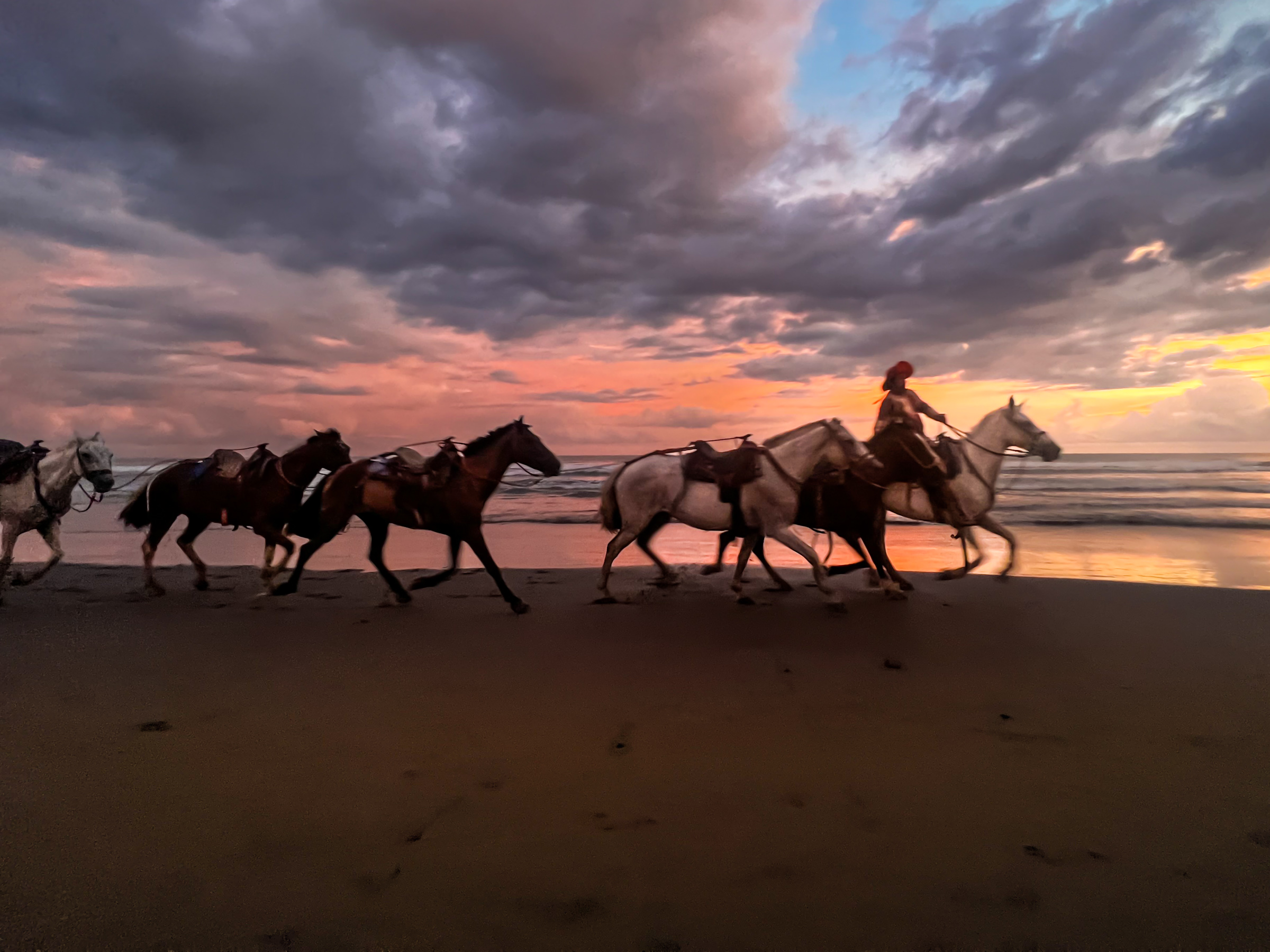 Horses on beach - color