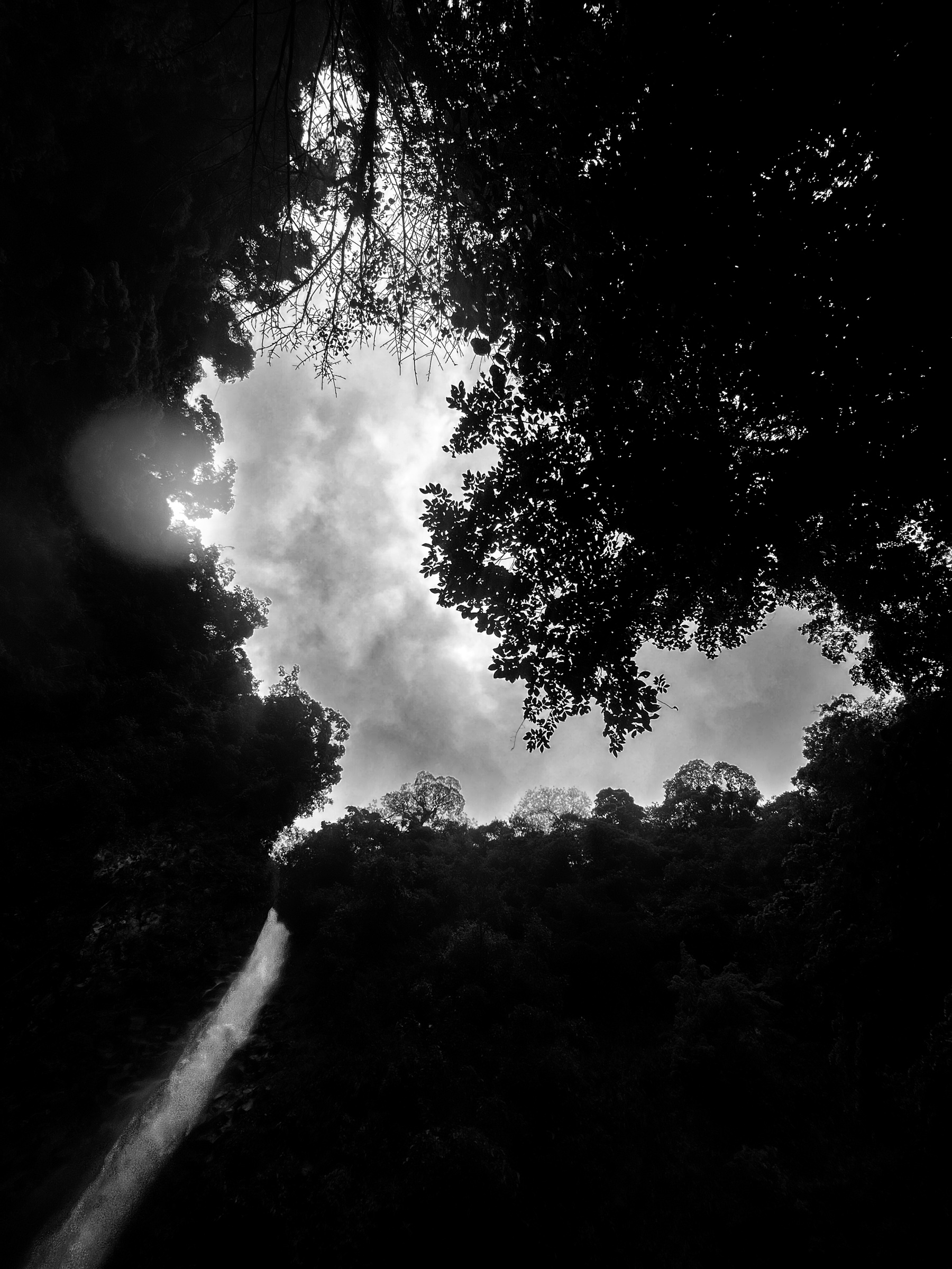 Looking up at waterfall and sky