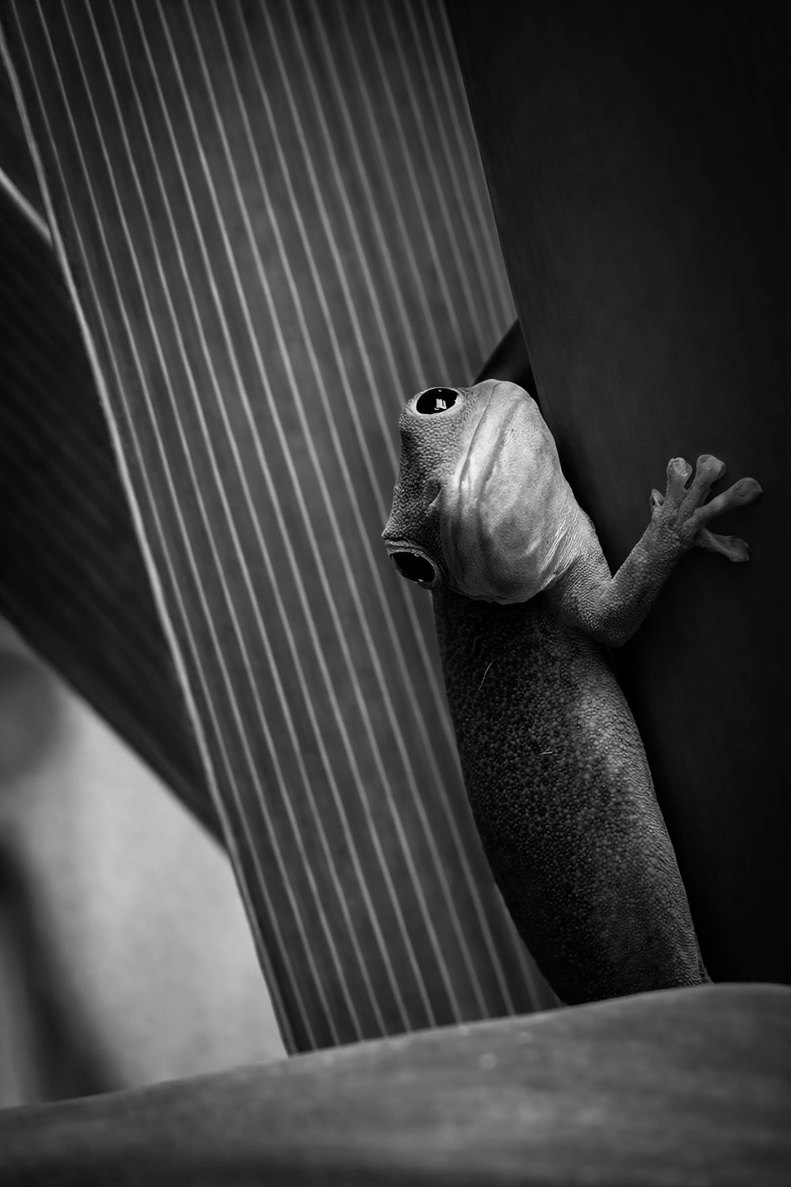 Tension