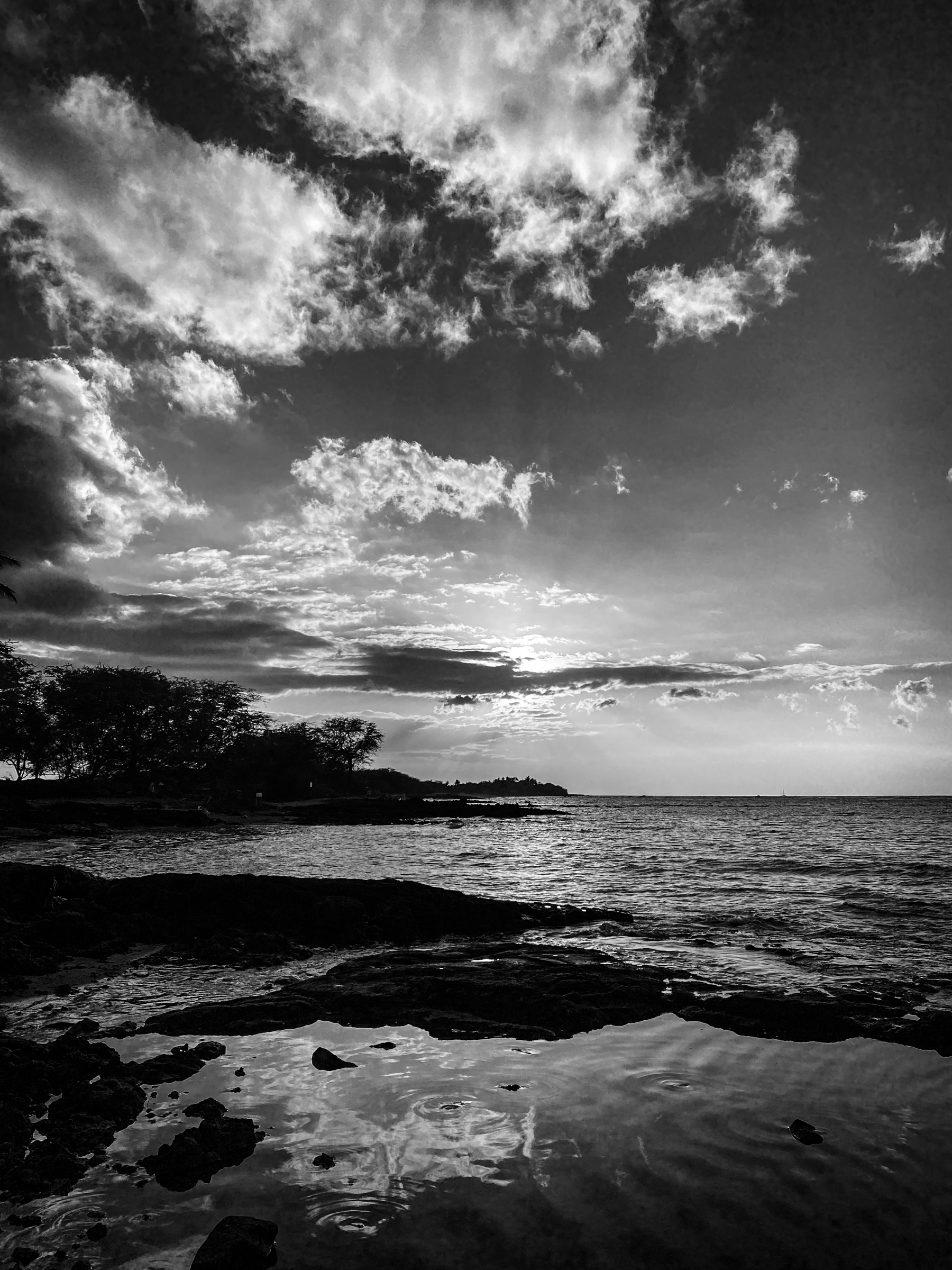 Coastal Scene