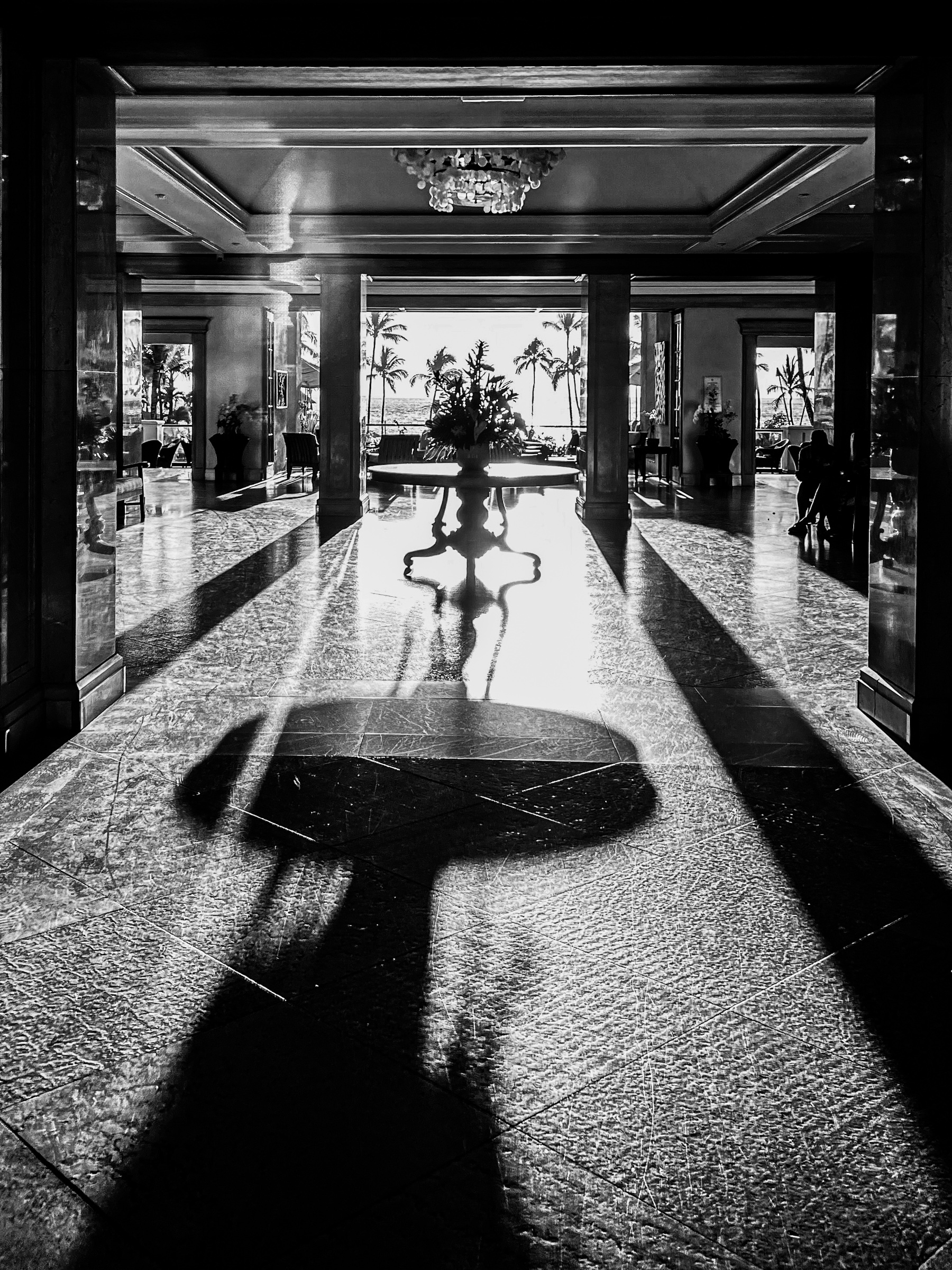 Orchid lobby