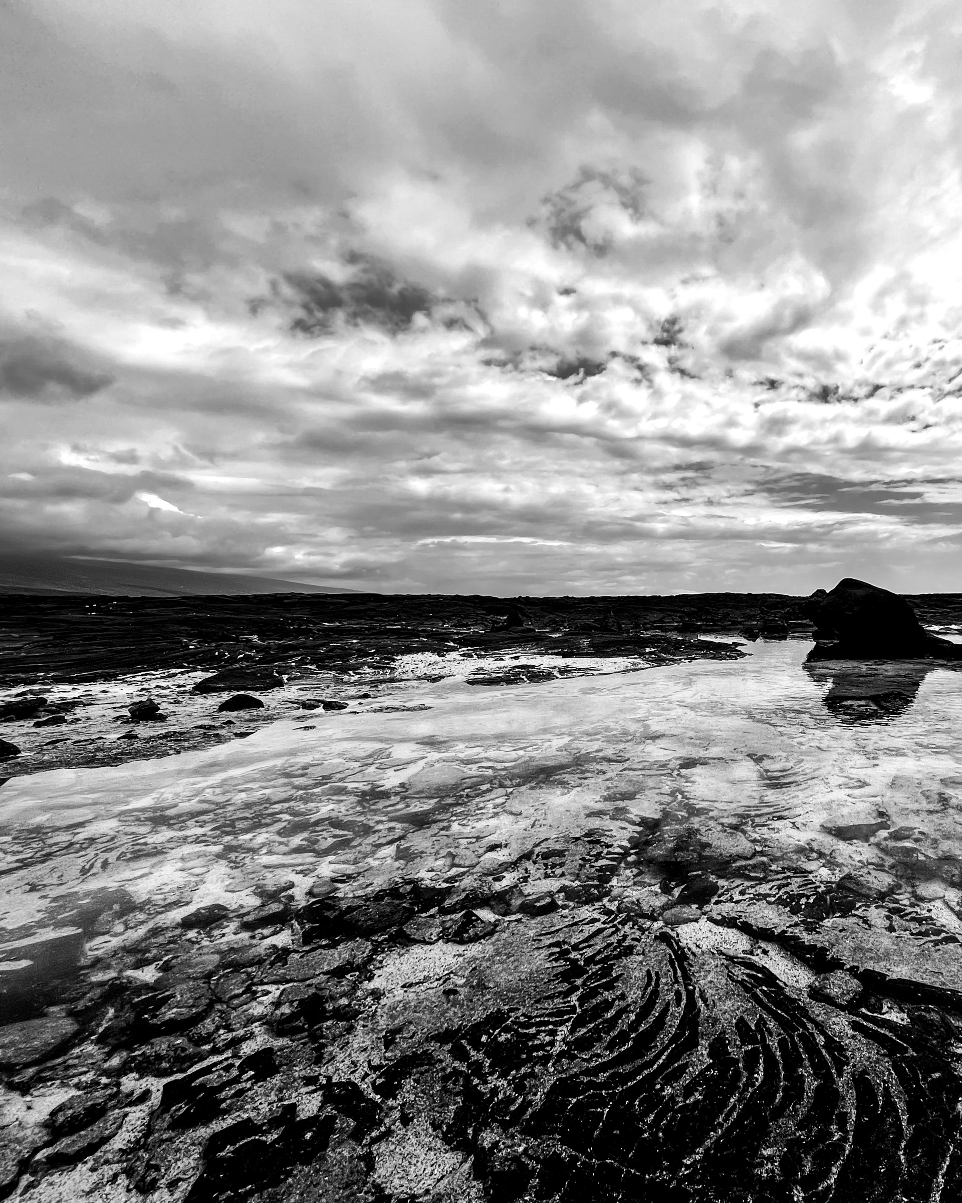 Lava Lava Tidal Pool