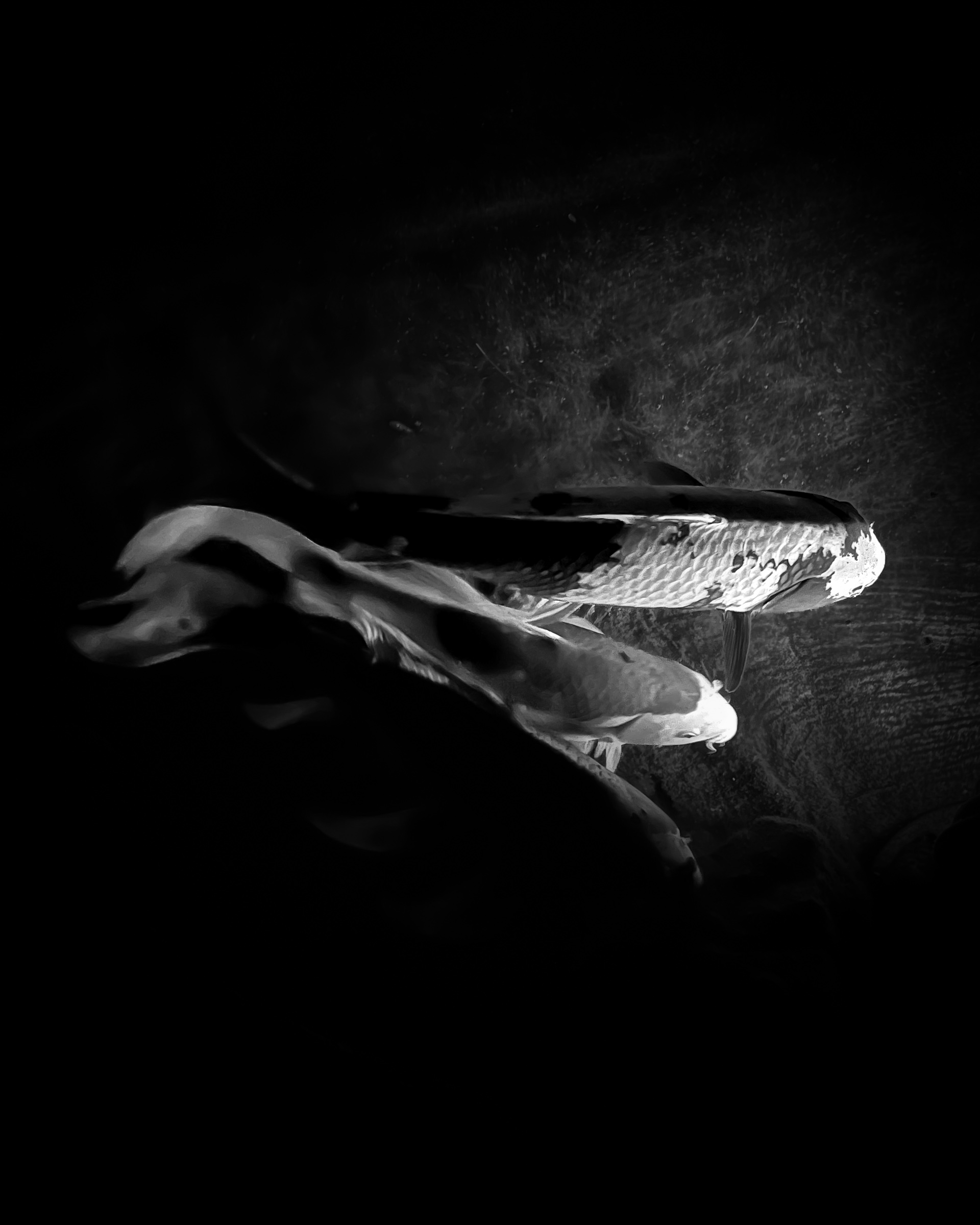Passage