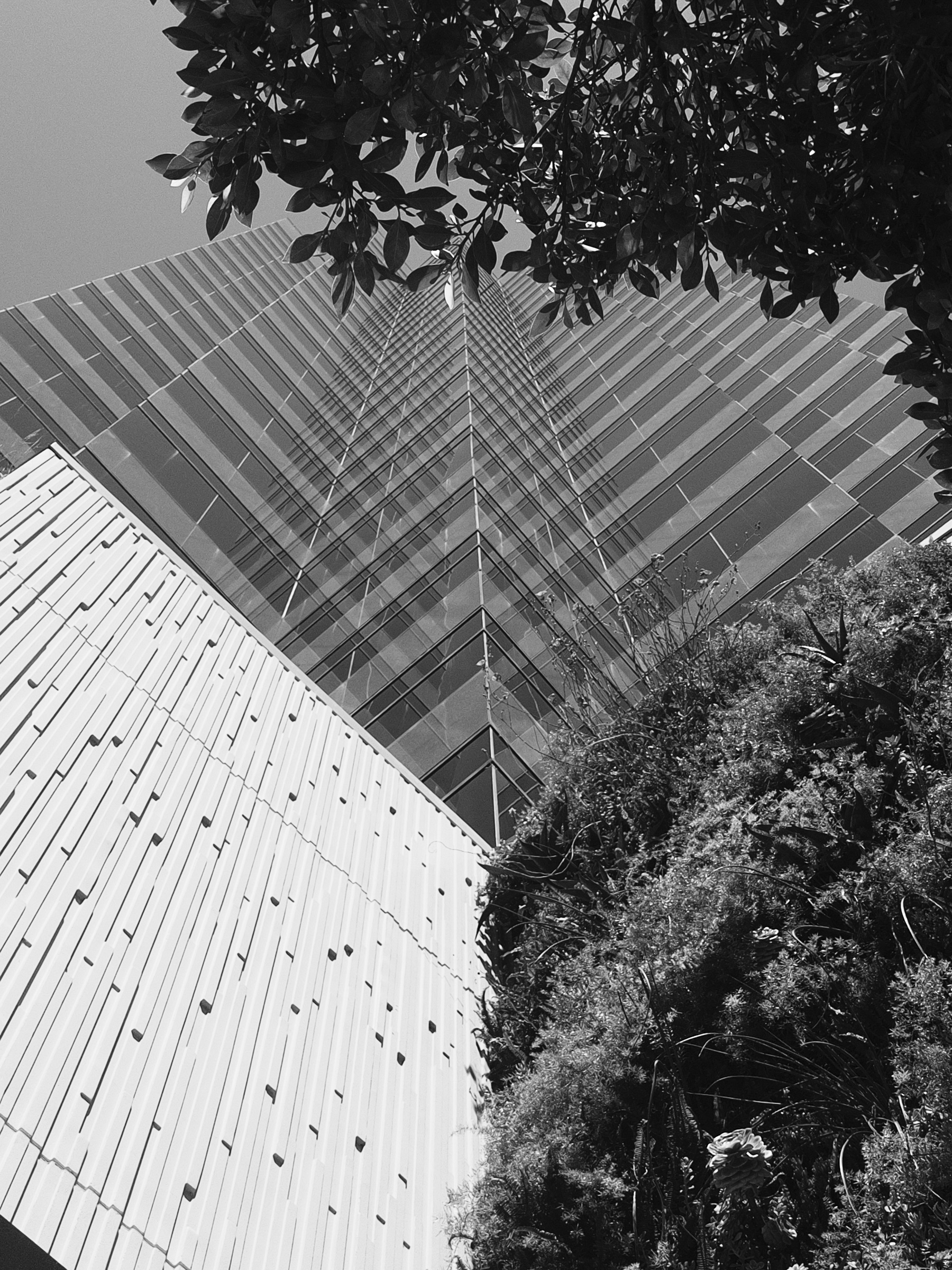 Glass highrise - wide crop