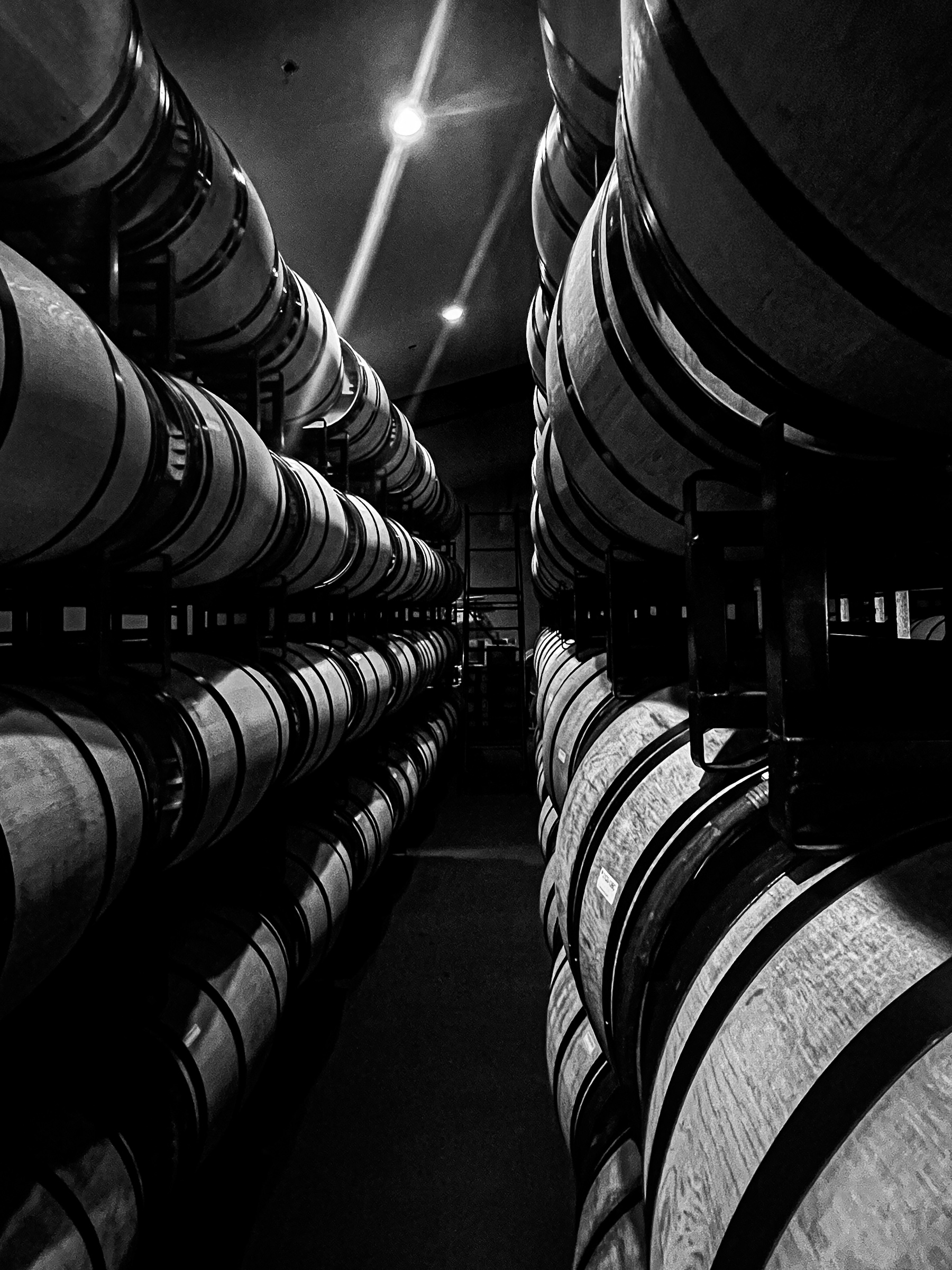 Wine barrels hallway