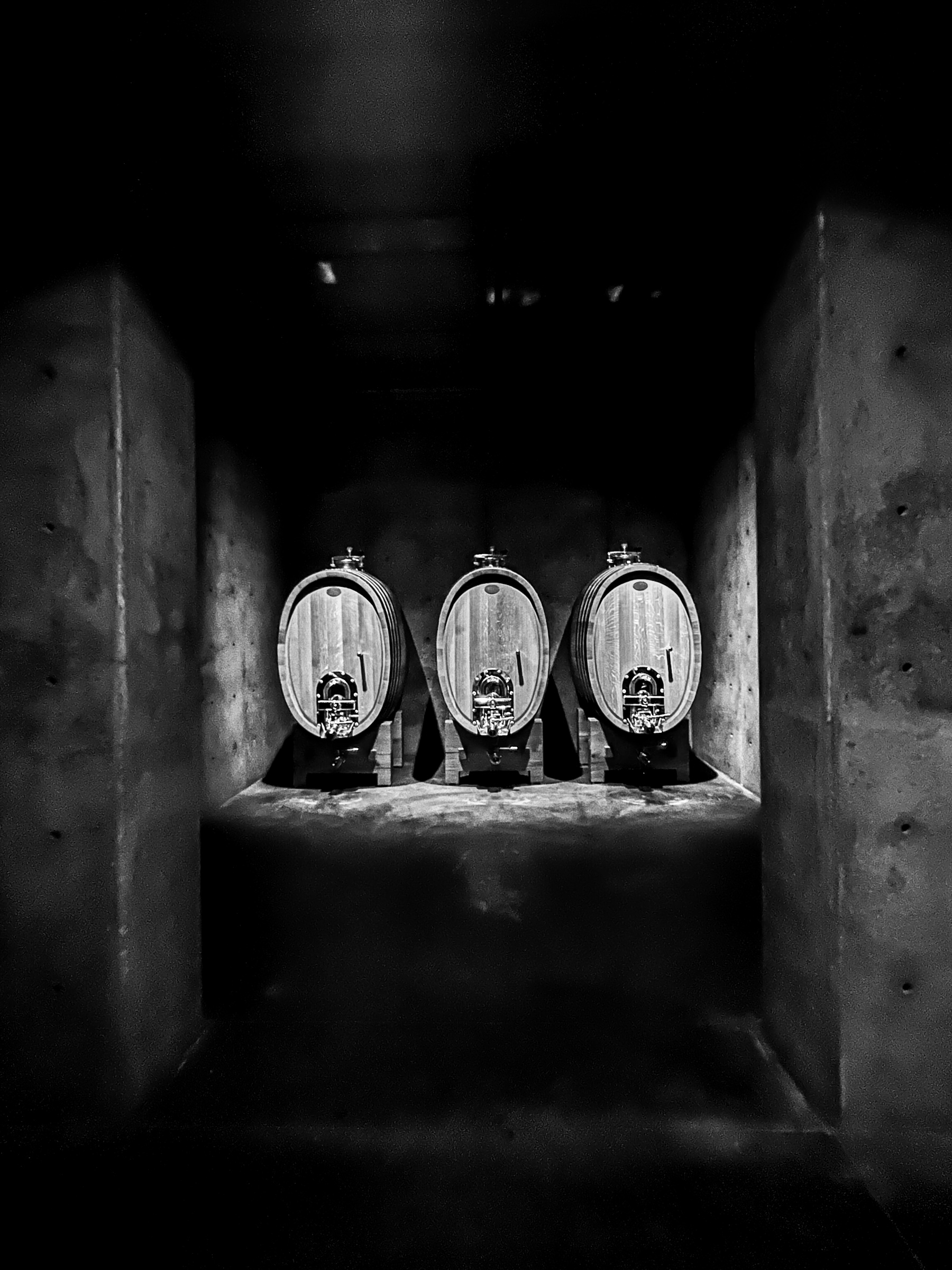 Three wine barrels in concrete