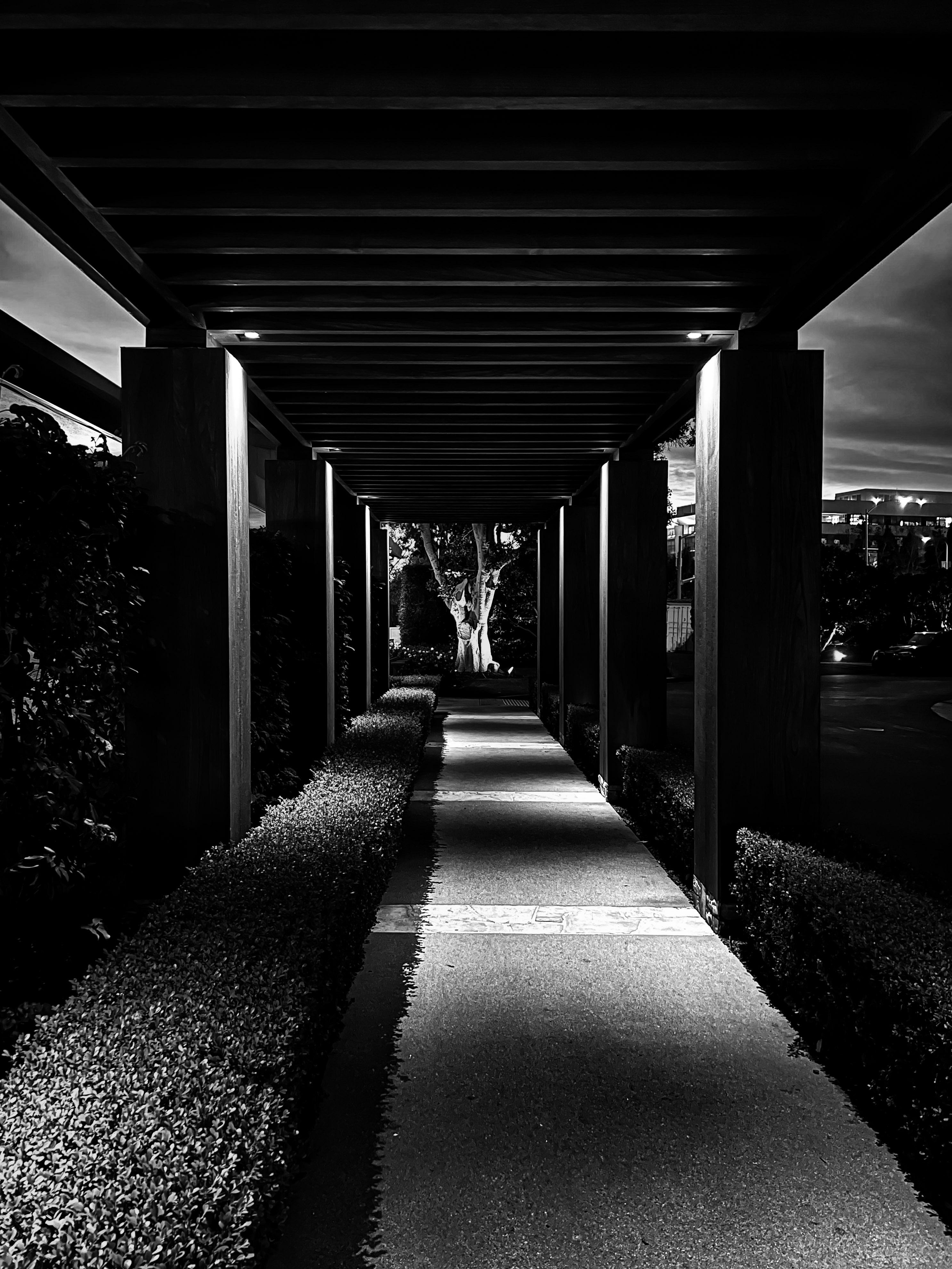 Evening at Hillcrest Country Club — Los Angeles, California