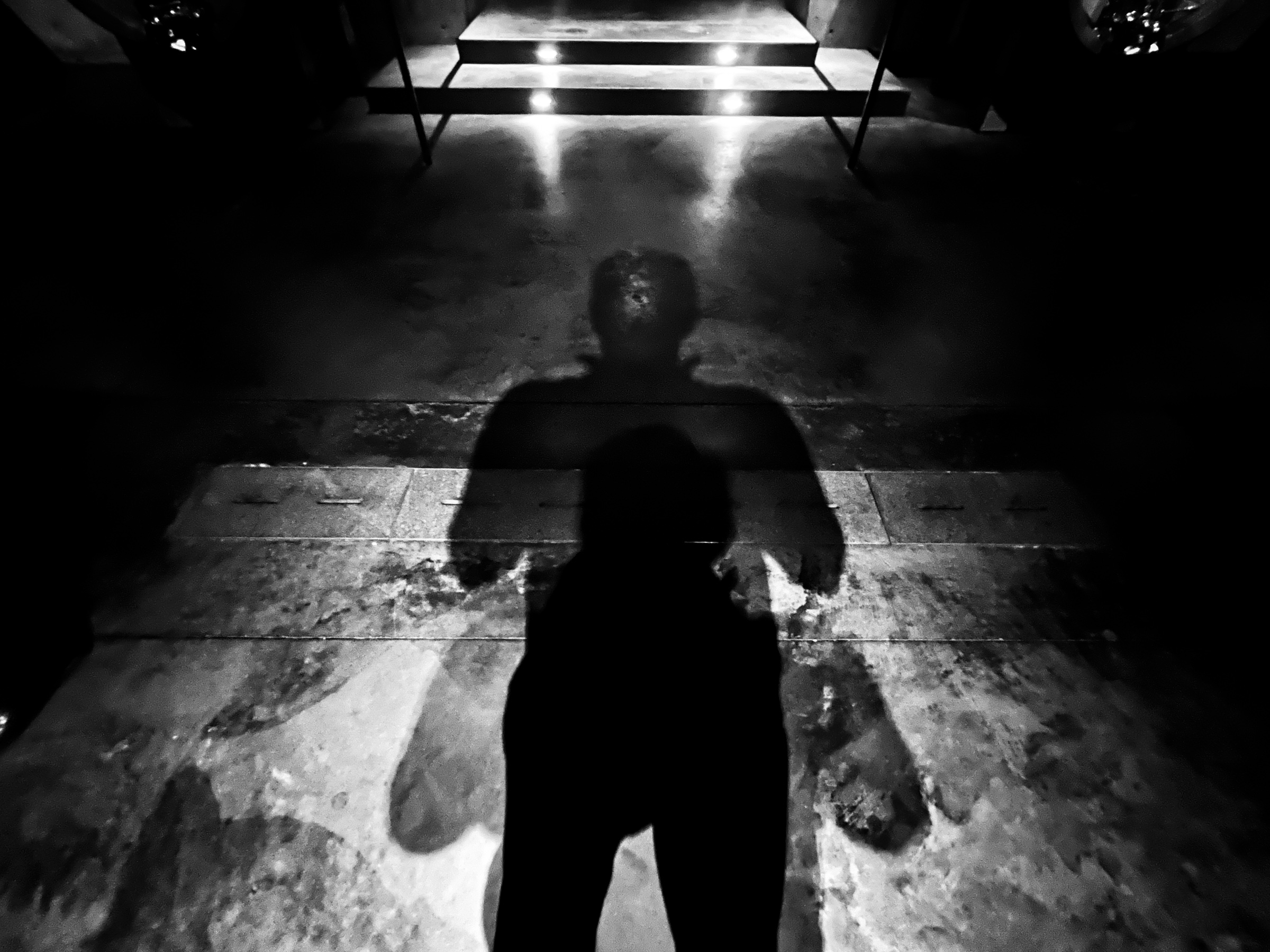 Silhouette self portrait on floor