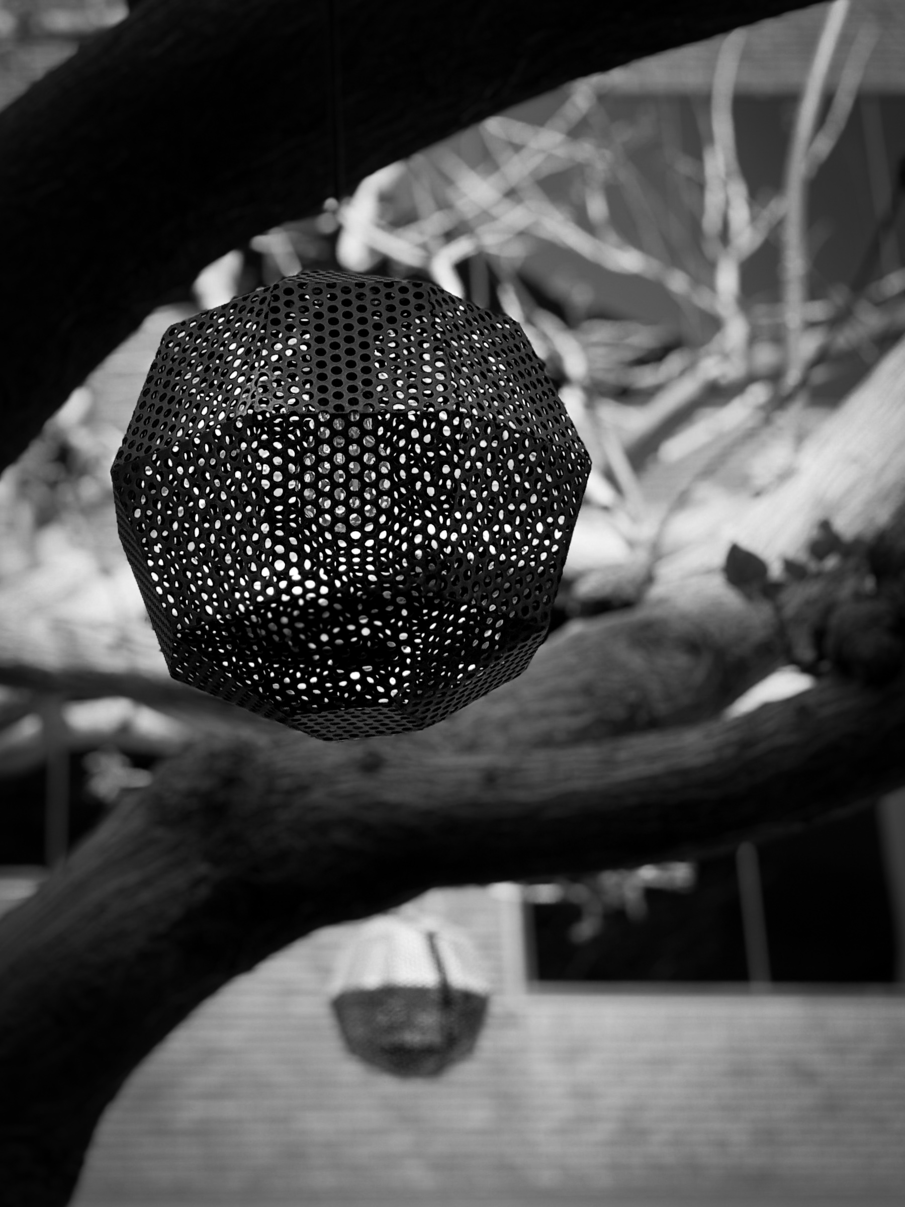 Courtyard tree, extreme close-up crop — Costa Mesa, California