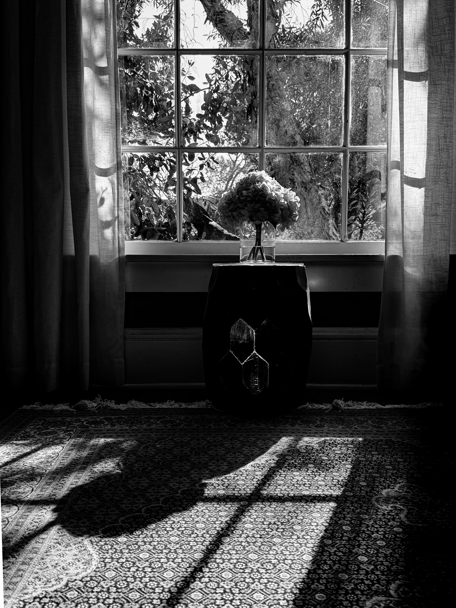 Afternoon light filtering through a living room window with flowers in foreground — South Pasadena, California