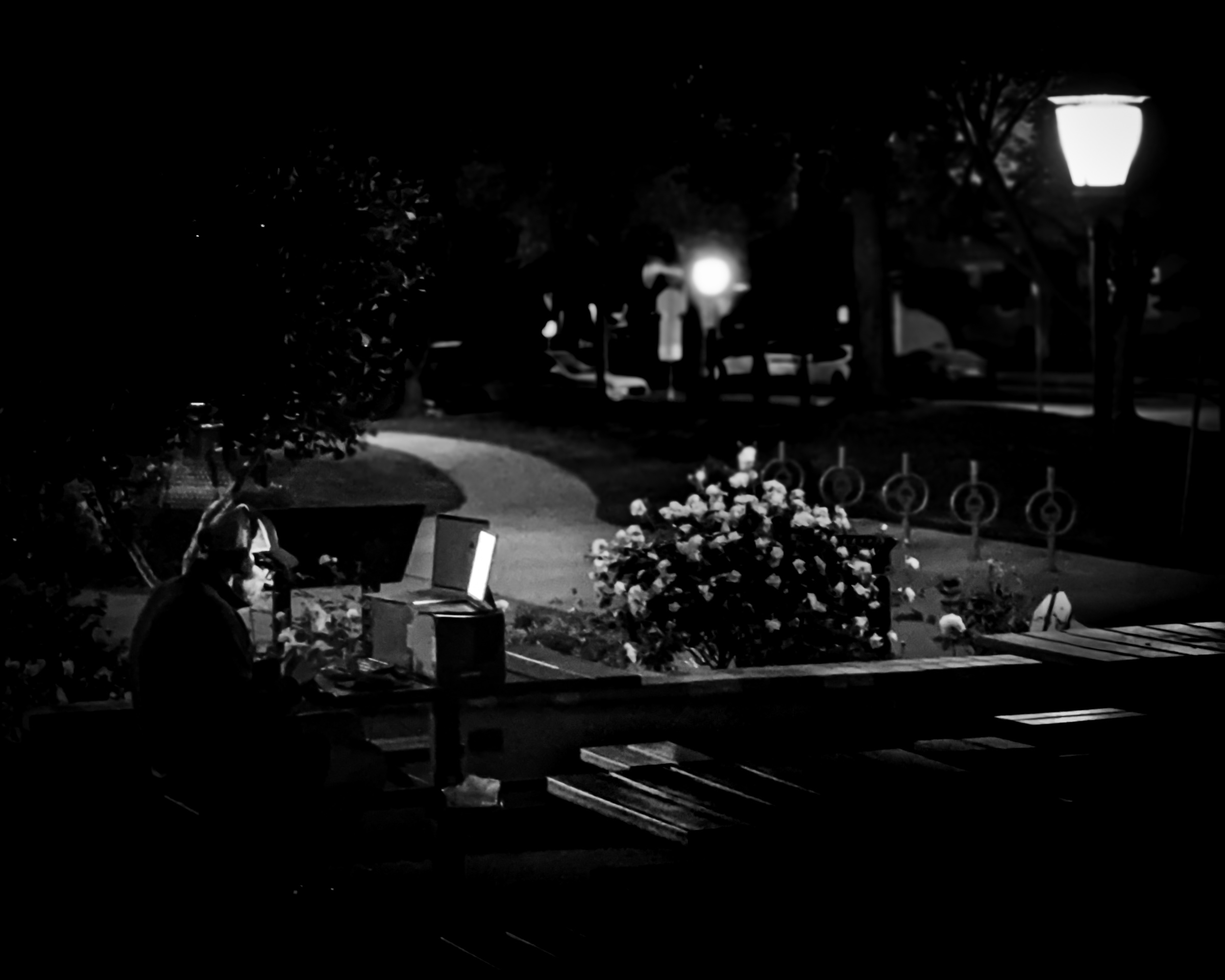 Person working on a laptop in the library park at night, wide crop from behind — South Pasadena, California