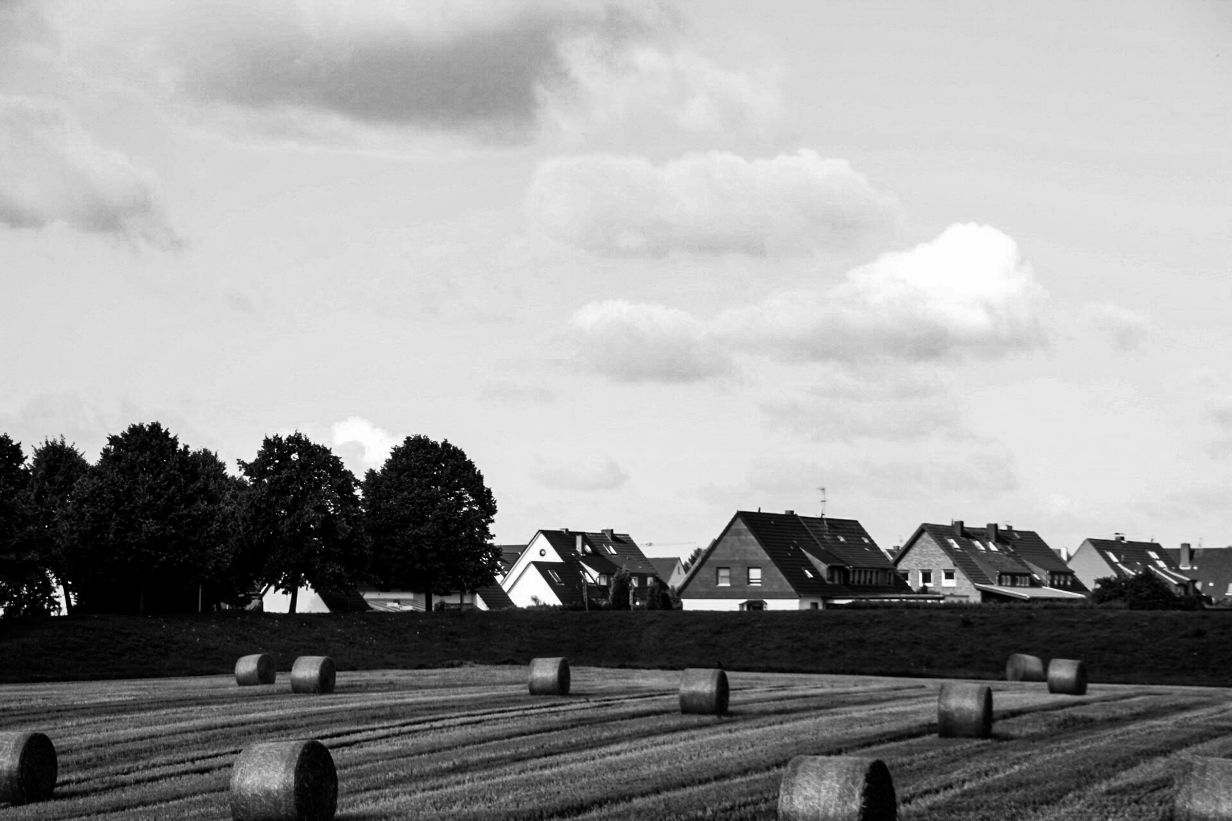 Detail of hay wheels and houses